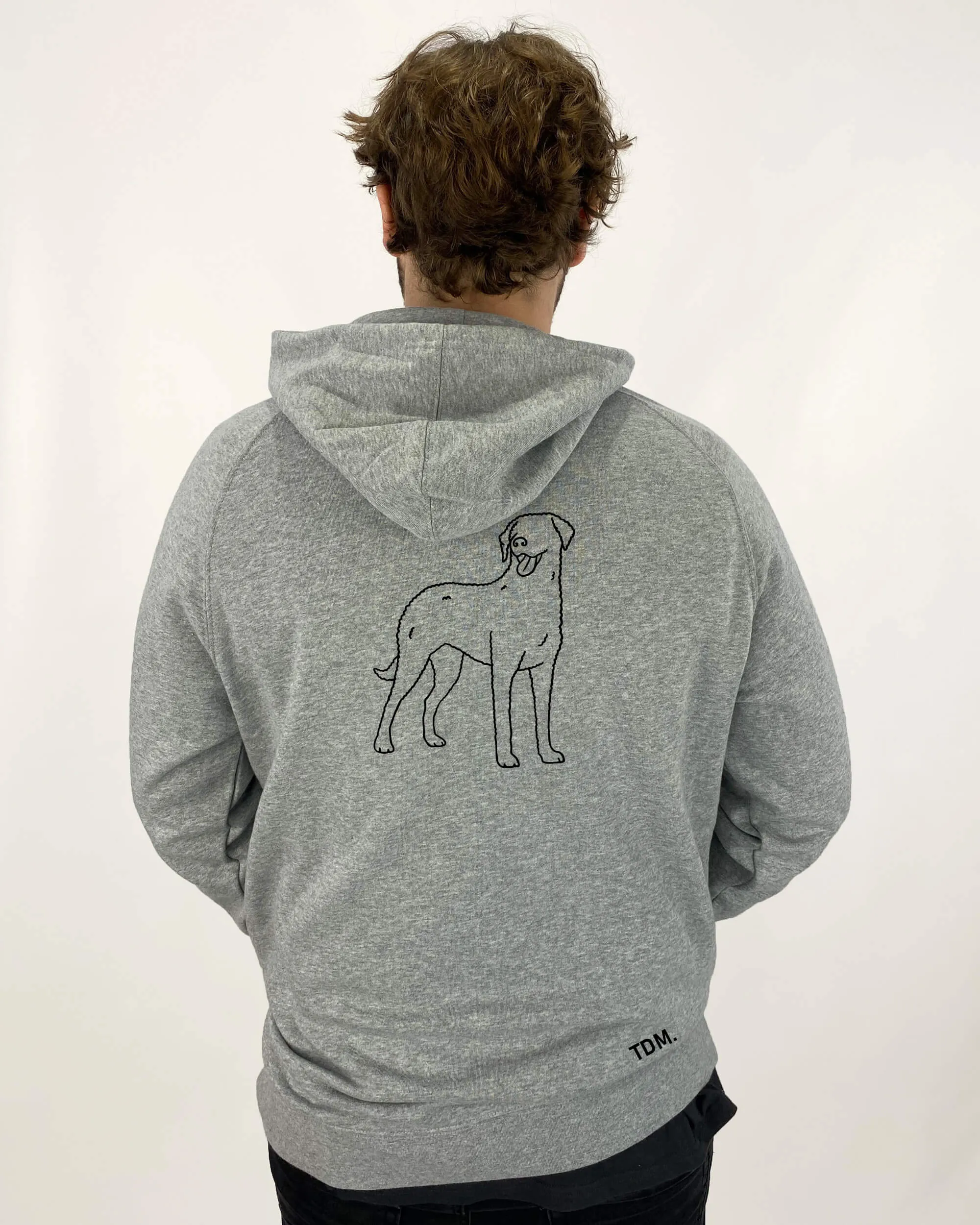Curly Coated Retriever Dad Illustration: Hoodie