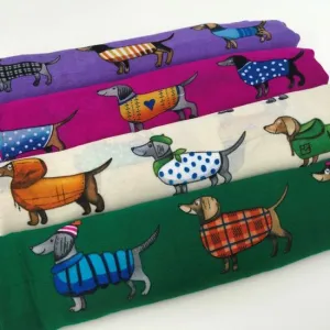Dog in Jumper Scarves